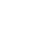 Langnese